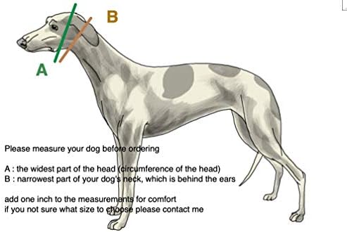 צווארון כלבים מרטינגייל רך נוסף עבור גרייהאונד סלוקי וויפט וגזעים אחרים עם רצועה דומה לצוואר 2 רצועה תואמת רחבה