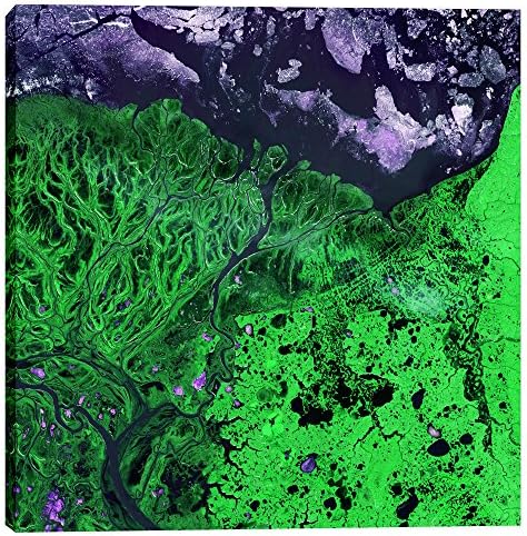 גרפיטי אפי כדור הארץ יוקון דלתא ז 'יקלה אמנות קיר בד, 26 איקס26, ירוק