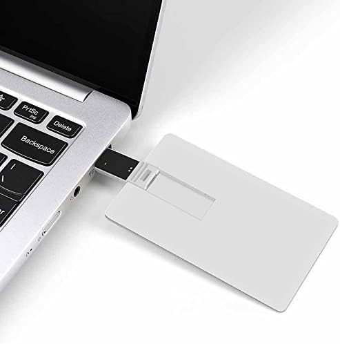 פרחוני פרחוני צבעוני PAISLEY USB 2.0 מכריחי פלאש צורת כרטיס אשראי מזיכרון