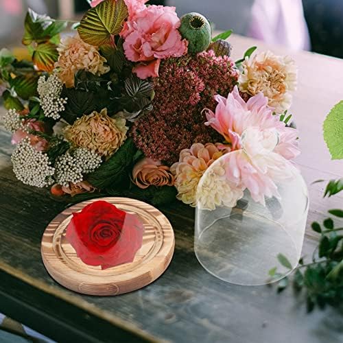 עיצוב חתונה של Bestoyard Cloche Cloche Base עם בסיס ועיצוב בצורת לב שולחן שולחן שולחן חתיכה קלוצי פעמון צנצנת חממה תצוגת כיפת פרחים שמורים פיות עיצוב עיצוב עיצוב צמחי עיצוב