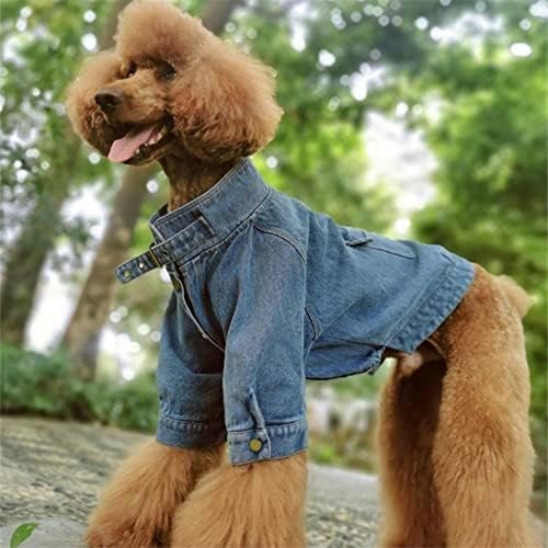 חולצת ג'ינס מגניבה כלבי חיות מחמד לגור קטן ופודל ענק