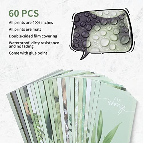 60 חתיכות מרווה קיר ירוק קולאז 'ערכת הדפס