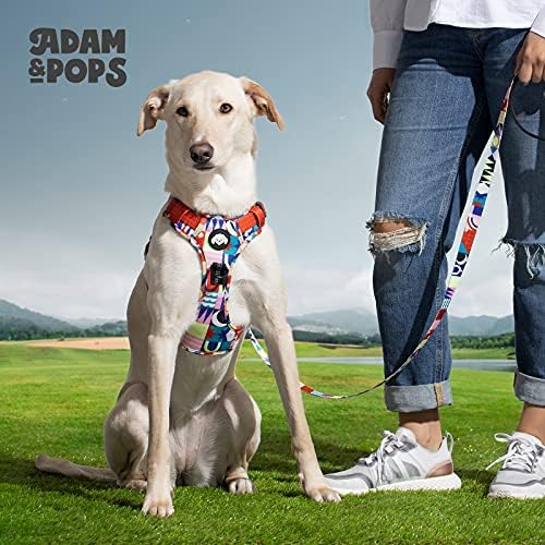 Adam & Pops רתמת כלבים לכלב - אפוד כלבים מרופד עם אבזמים ותוחם רשת - אין רתמת כלבים משיכה לאימונים והרפתקאות - נושם ונוח