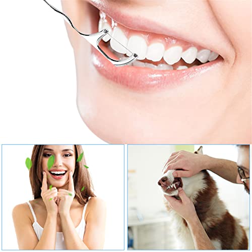 Bdyjy 4PCs כלי שיניים ערכת היגיינת שיניים, כלי ניקוי לטיפול נירוסטה מפלדת נירוסטה מוגדרים עם מגרד שיניים מסיר טבעת, סולם קטיף שיניים מתכת - עם גודל ללא כיס