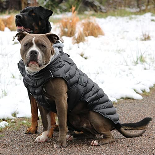 מעצב כלבים מעוצב אלפיני קיצוני מזג אוויר קיצוני