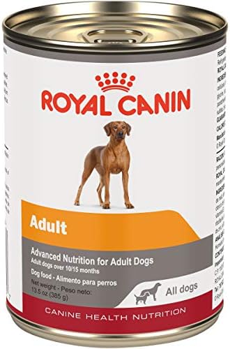 רויאל קאנין בריאות כלבים תזונה למבוגרים בג ' ל משומר מזון לכלבים, 13.5 עוז