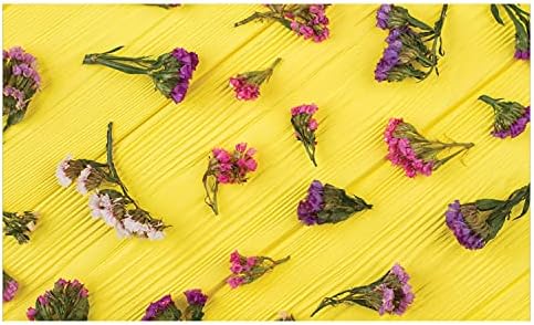 Ambesonne צבע טבעי מחזיק מברשת שיניים, תצלום נושא אביב של פרחי לימוניום סטטיס על השולחן, דקורטיבי רב -תכליתי לחדר אמבטיה, 4.5 x 2.7, רב -צבעי צהוב פסטל