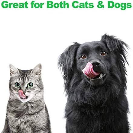 סט של 2 קערות כלבים מוגבהות-קערות מזון ומים מפלדה אל חלד 40 אונקיות לכלבים וחתולים בעמדה דקורטיבית מוגבהת בגודל 3.5 אינץ