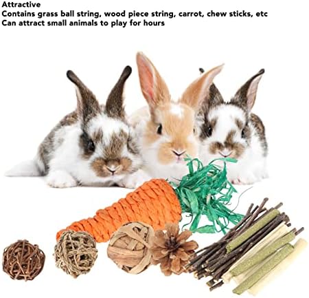 צעצועי ארנב צעצועי דשא מחמד של דשא מחמד מקדמים עיכול, שיניים טוחנות, הגדלת פעילות גופנית, גזר עבור שפן גינאה לצ'ינצ'יות