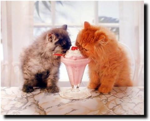 חתול חמוד La Perm וגלידה ידידות קיר תפאורה קיר פוסטר הדפסת אמנות