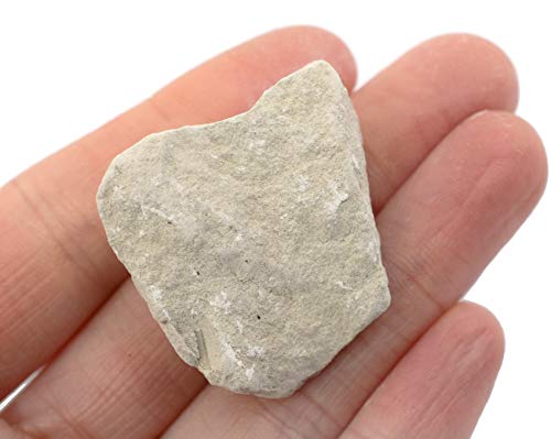 גיר אבן גיר גולמי, דגימת סלע משקע - בערך. 1 - גיאולוג נבחר ומעובד ביד - נהדר לכיתות מדע - מעבדות איסקו