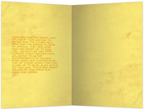 ברכות ללא עצים אקונוטס 12-רשימת רשימות עם מעטפות, 4 על 6 אינץ', אמנות חיות בר בנושא היפופוטם