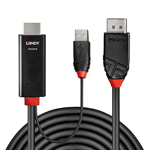 Lindy 41498 מתאם כבל וידאו 1 M HDMI + USB Type-A DisplayPort Black
