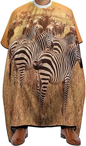 Vantaso Africa Sunset Zebra Barber Cayt